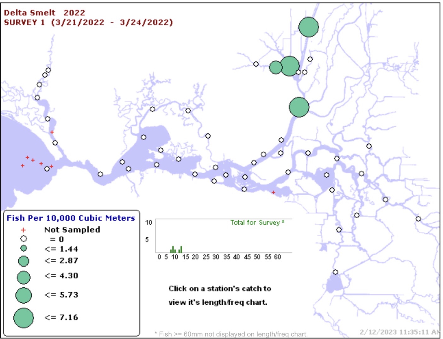 Figure 4. Catch of Delta smelt in 20-mm Survey in late March 2022. Seven were captured in the north Delta just upstream of where adult hatchery smelt were released in December 2021.