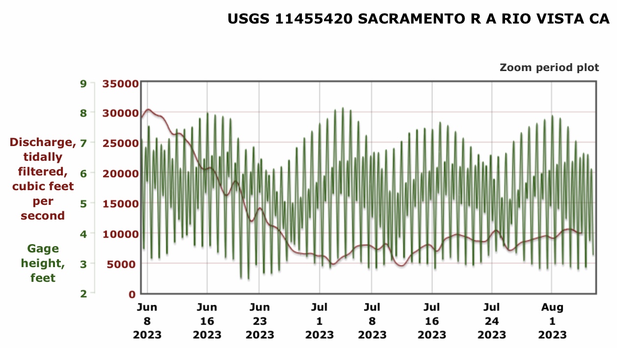 Graph showing Average daily flow and hourly stage at Rio Vista in North Delta near exit to the Bay. 