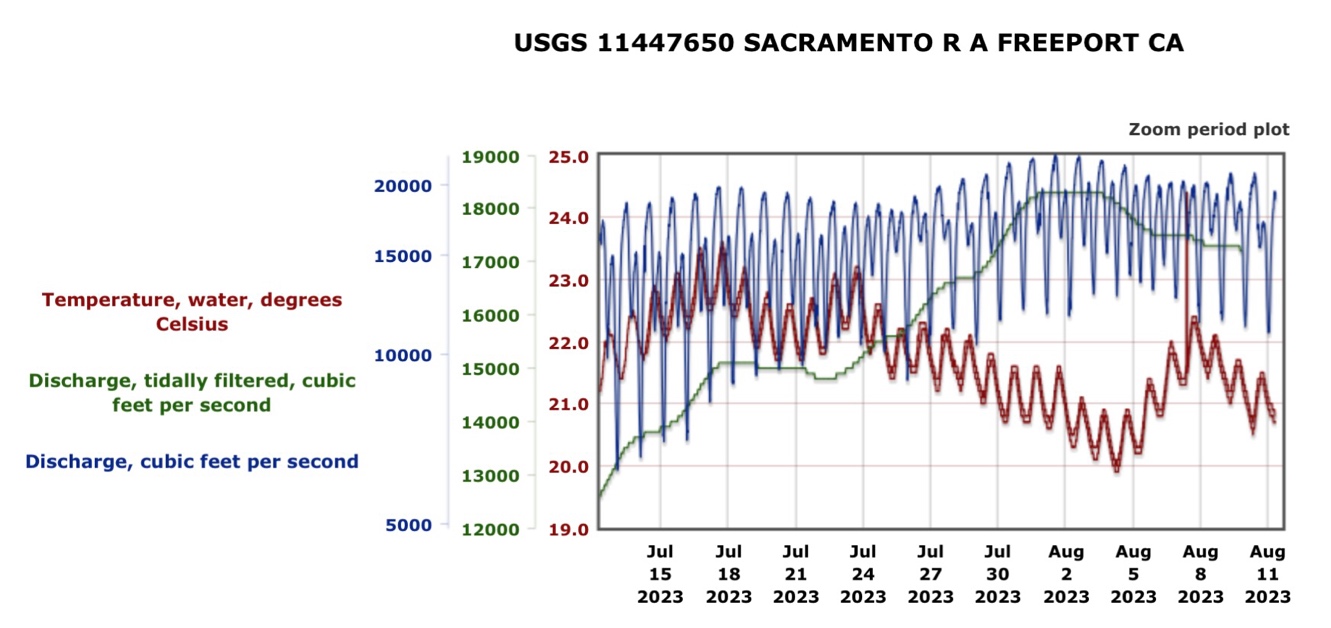 Graph showing Delta inflow (tidally filtered and hourly) from the Sacramento River and water temperature at Freeport July-August 2023.