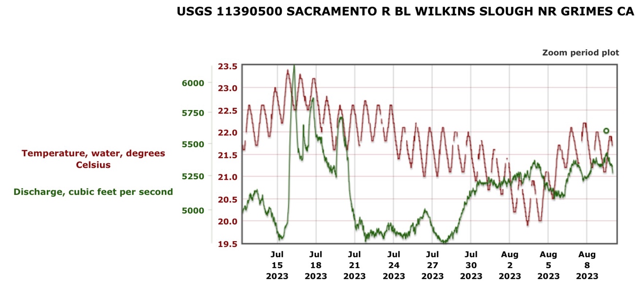 Graph showing Lower Sacramento River streamflow and water temperature at Wilkins Slough gage July-August 2023. Water temperature remains high (>20C, 68 F) under low streamflow.