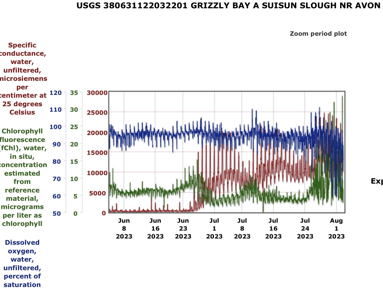 Graph showing Salinity (EC), dissolved oxygen, and chlorophyll concentration in east Bay in June-July 2023. 