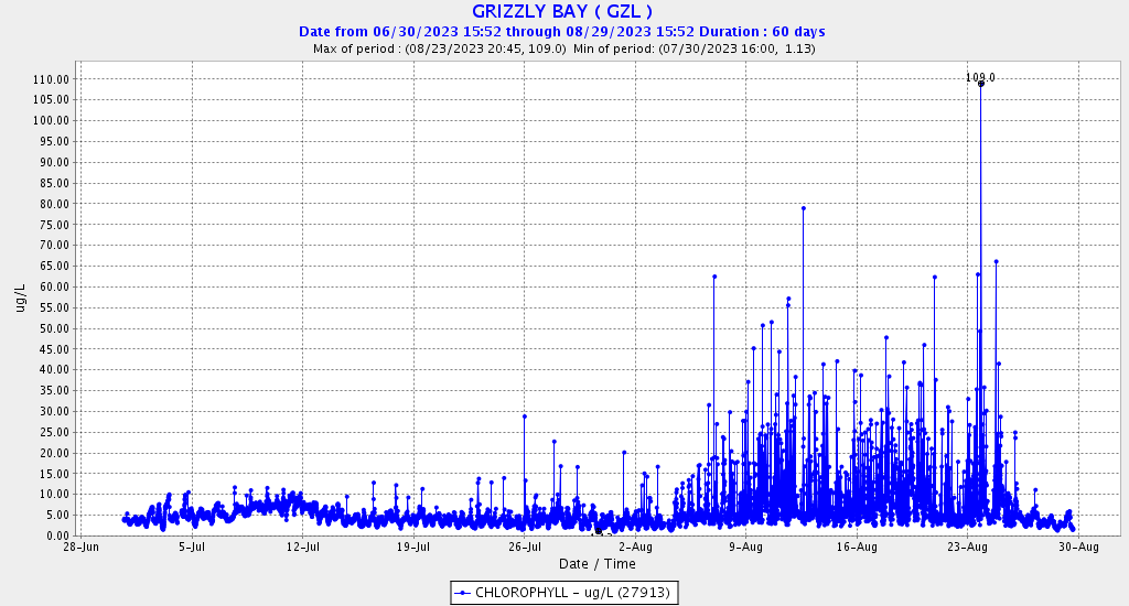 Graph of Chlorophyll levels at Grizzly Bay gage (in northwest East Bay) in summer 2023.