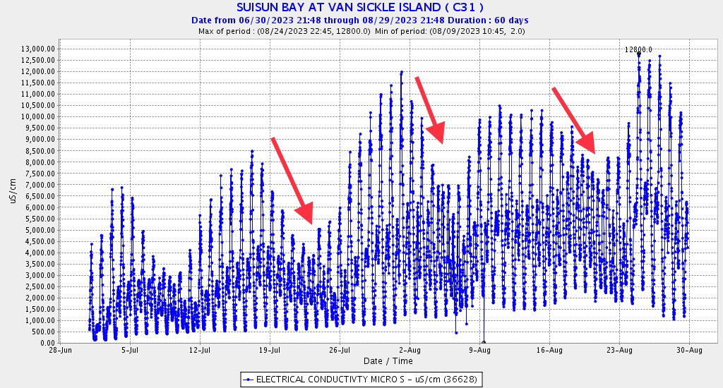Graph of Salinity (EC) at eastern Suisun Bay gage (in east Bay) in summer 2023. 