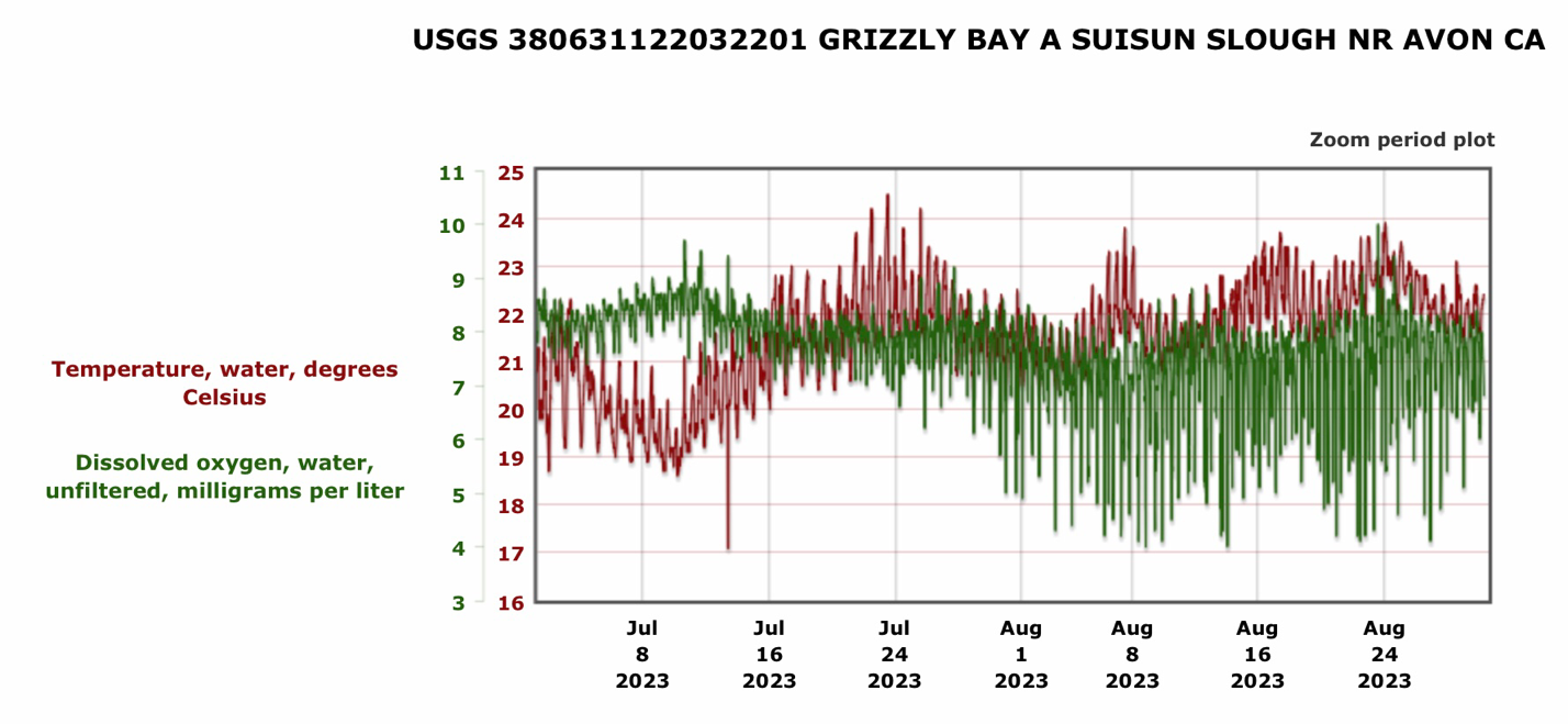 Graph of Hourly dissolved oxygen levels in Grizzly Bay in summer 2023. 