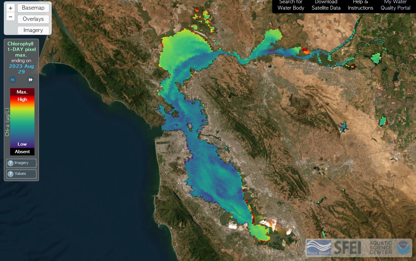 Satellite imagery of chlorophyll levels in San Francisco Bay on 8/29/2023.