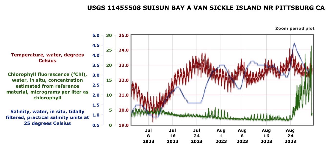 Graph of water temperature, chlorophyll, and salinity in Suisun Bay in summer 2023. 
