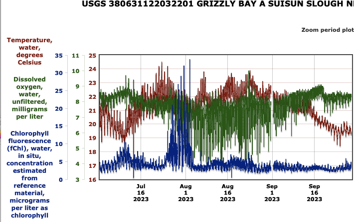 Graph of Water temperature (C), dissolved oxygen (DO, mg/l), and chlorophyll (mg/l) in western Suisun Bay in summer 2023. 