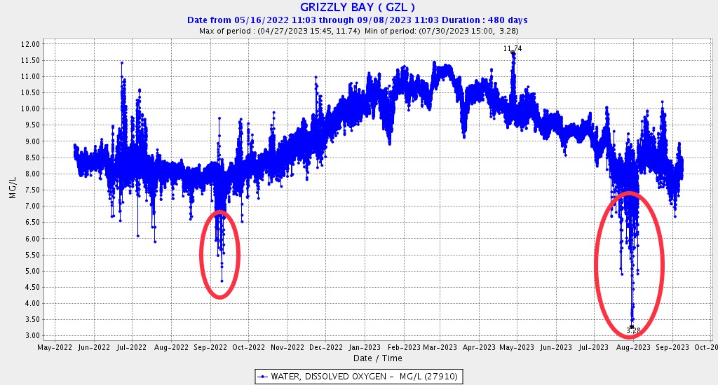 Graph of Dissolved oxygen concentration (mg/l) in 2022 and 2023 in Suisun Bay. 