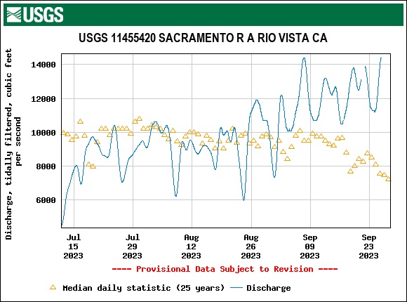 Graph of Daily average flow in summer 2023 and 25-year average at Rio Vista in the lower Sacramento River channel of the Delta leading into Suisun Bay. Late August and September increases are related to the Fall X2 requirement of Delta water projects in wet years.