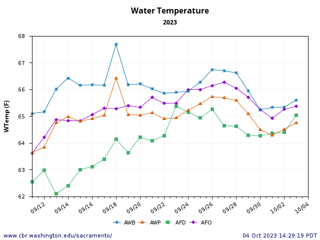 Figure 5. Daily average water temperatures in the lower American River 9/10-10/3 2023 below Folsom Dam (AFD), at Fair Oaks gage below Nimbus Dam (AFO), at William Pond gage (AWP), and at Watt Avenue Bridge gage (AWB). The water quality standard in all water year types is 65oF maximum (year-round) at AWB.