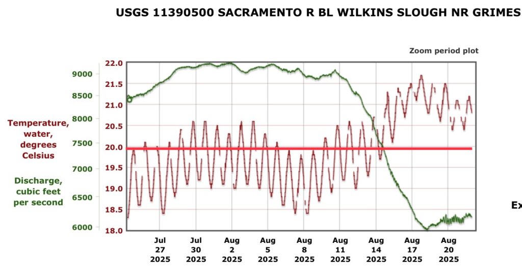 Figure 1. Lower Sacramento River streamflow and water temperature in July-August 2025.  Red line is the water quality standard for water temperature.