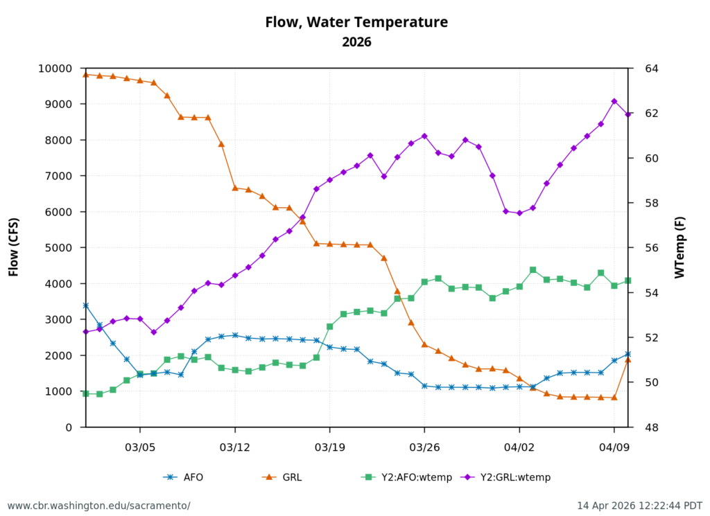 Figure 4. Streamflow and water temperature from the lower Feather River at Gridley (GRL) and American River at Fair Oaks (AFO) in early spring 2026.