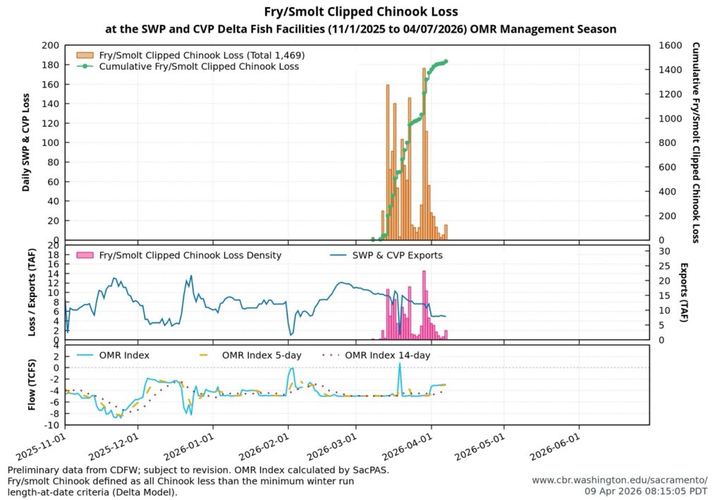 Figure 8. Marked hatchery salmon Delta pumping plant salvage and export rates from November 2025 to April 2026. Also shown is net flow in south Delta Old and Middle River channels (OMR) near export facilities.